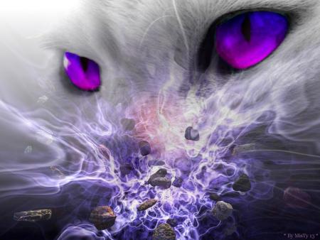 le chat